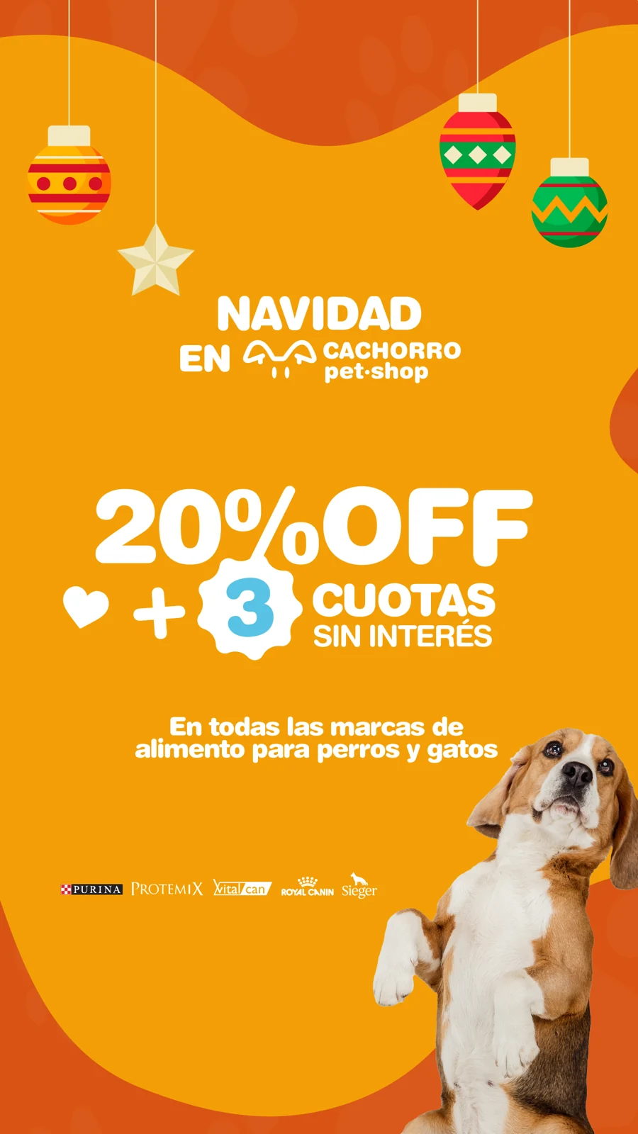 Cachorro Pet Shop · Historia · pieza 4