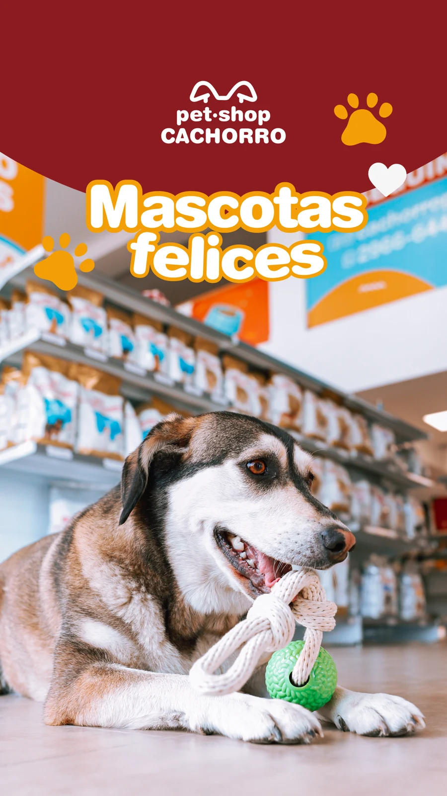 Cachorro Pet Shop · Historia · pieza 2